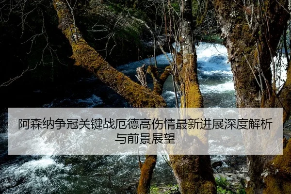 阿森纳争冠关键战厄德高伤情最新进展深度解析与前景展望